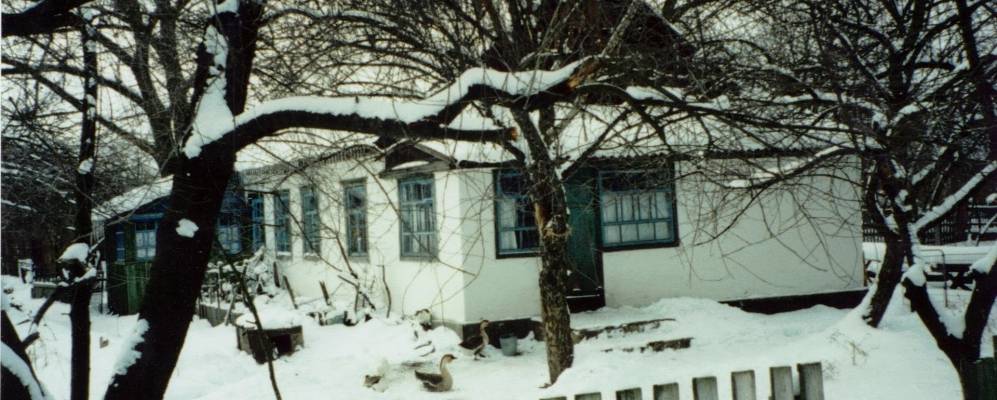 
            Фотография Осычек