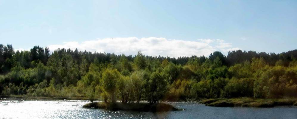 
            Фотография Мельницы