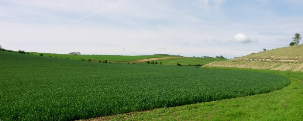 
            Фотография Бюиньи-Сен-Маклу