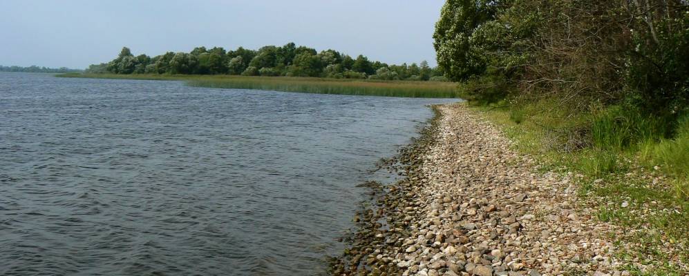 Фотография Стайкино