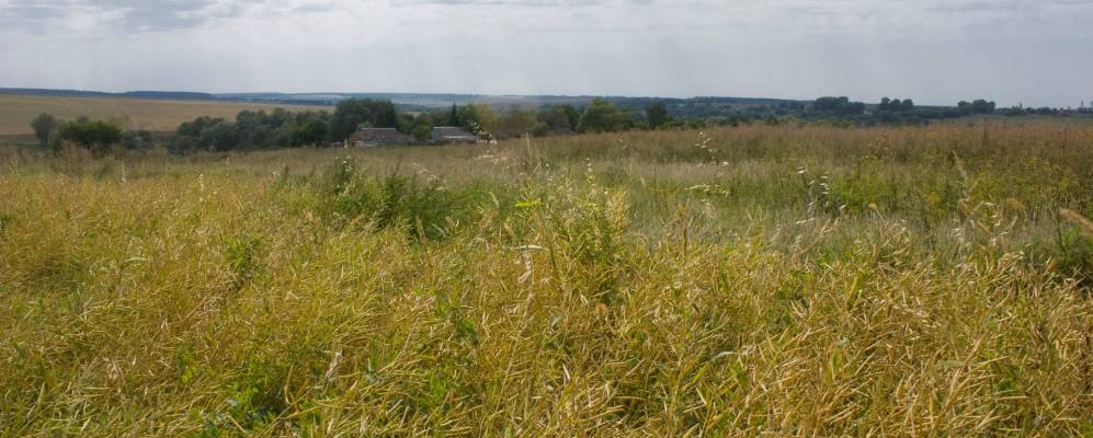 
            Фотография деревни Сизовы Дворы