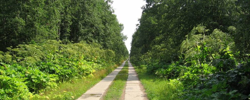 
            Фотография Княжево