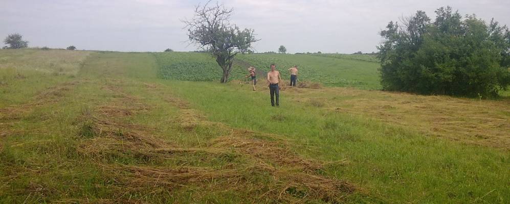 
            Фотография Квиткового