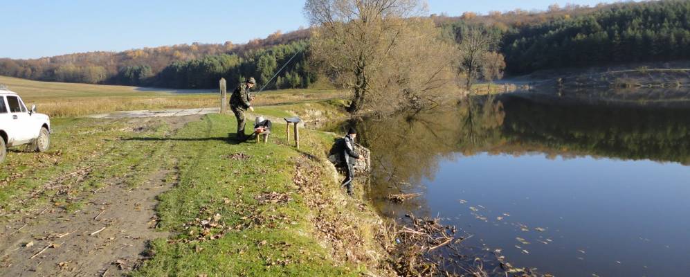 
            Фотография Шушковцы