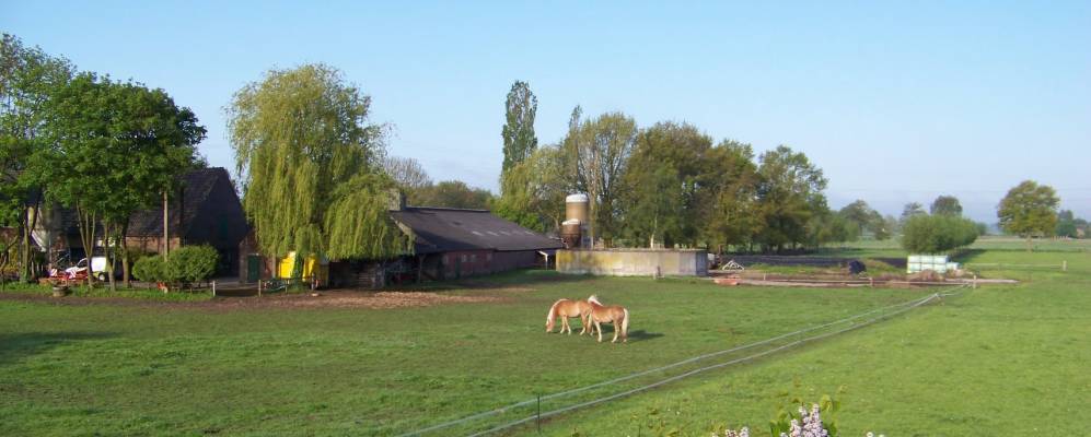
            Фотография Ворста