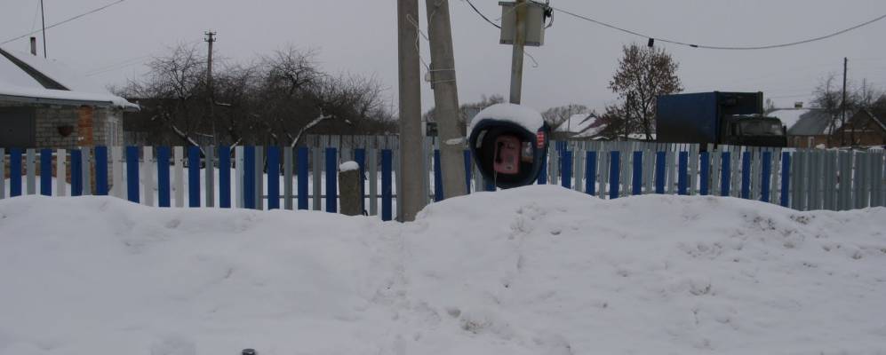 
            Фотография Зареченского