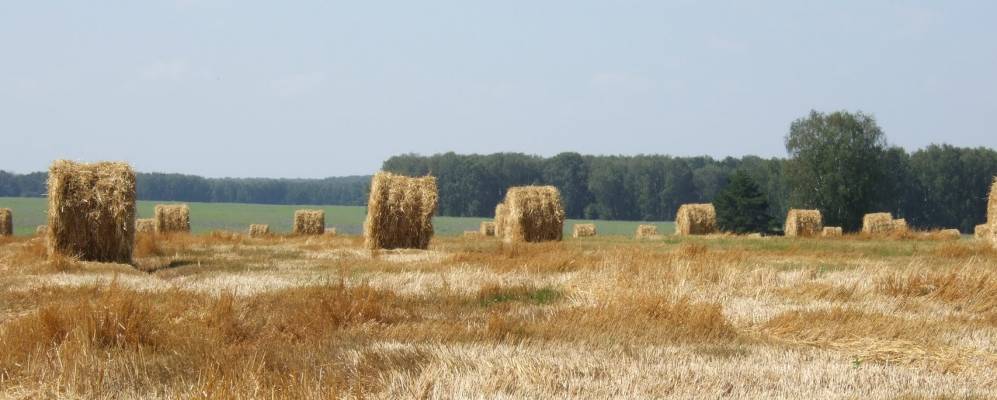 
            Фотография Клинского