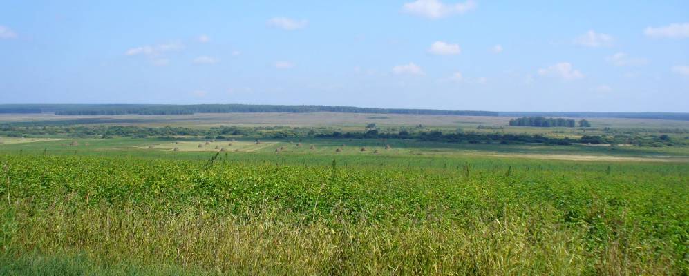 
            Фотография Большой Исянгильдины