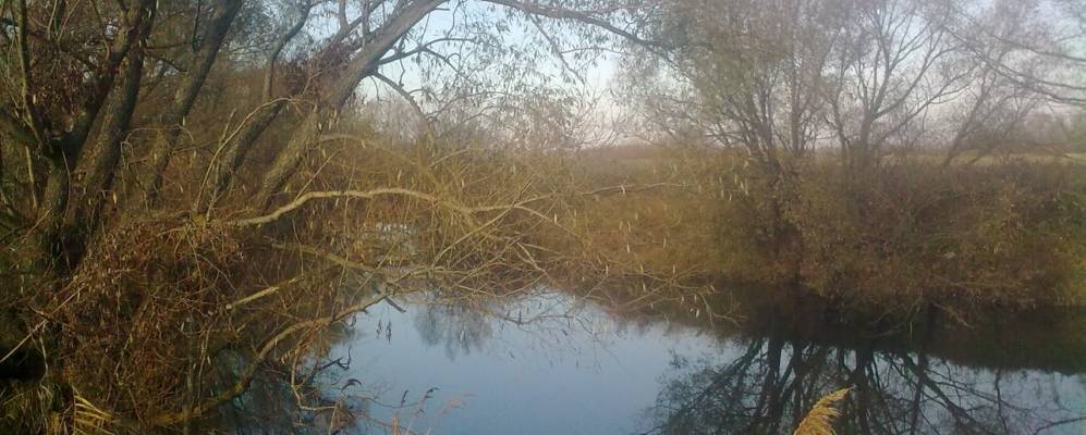 
            Фотография Ферлюдинки