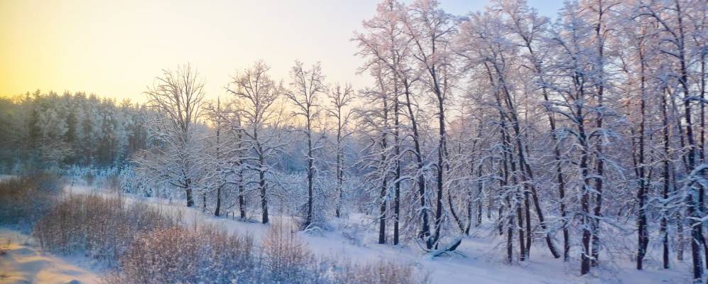 
            Фотография Сив-Сирмы