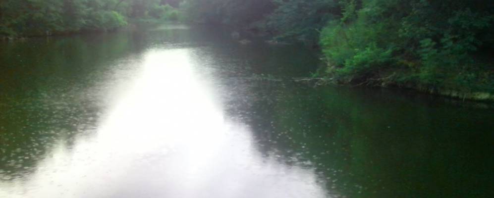 Фотография Вергулевского