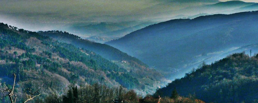 
            Фотография Момигно