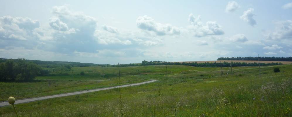 
            Фотография Ильинского