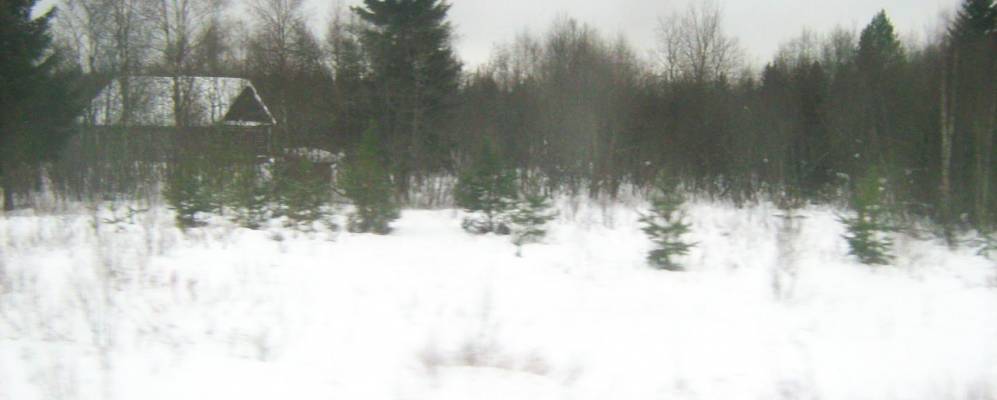 Фотография Колпины