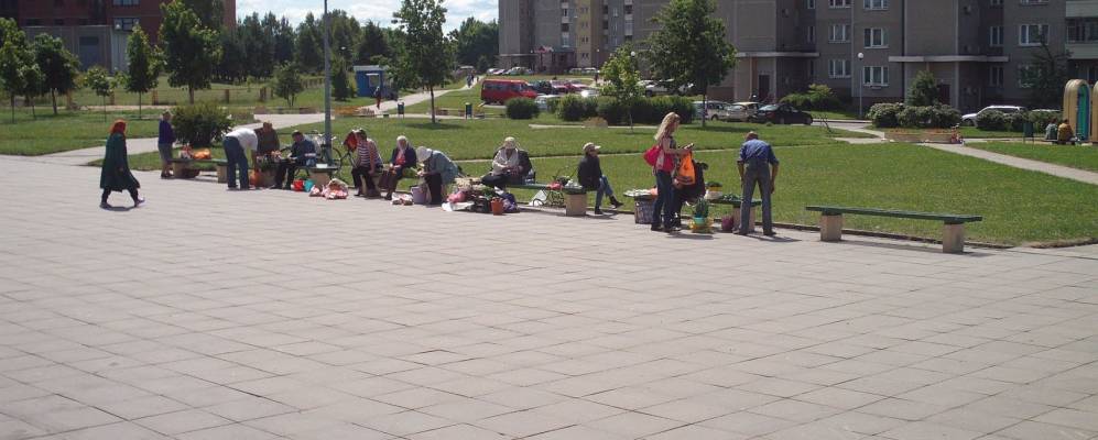 
            Фотография Перепечицы