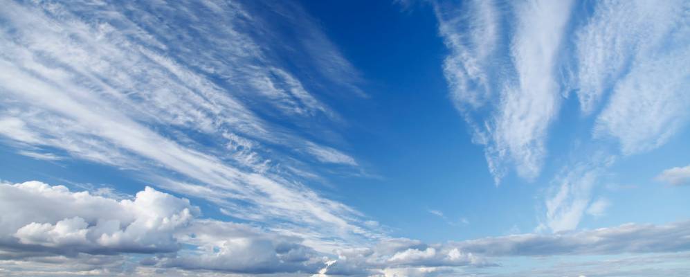 
            Фотография Крутца