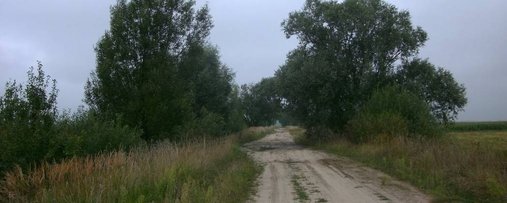 
            Фотография Ковалёва