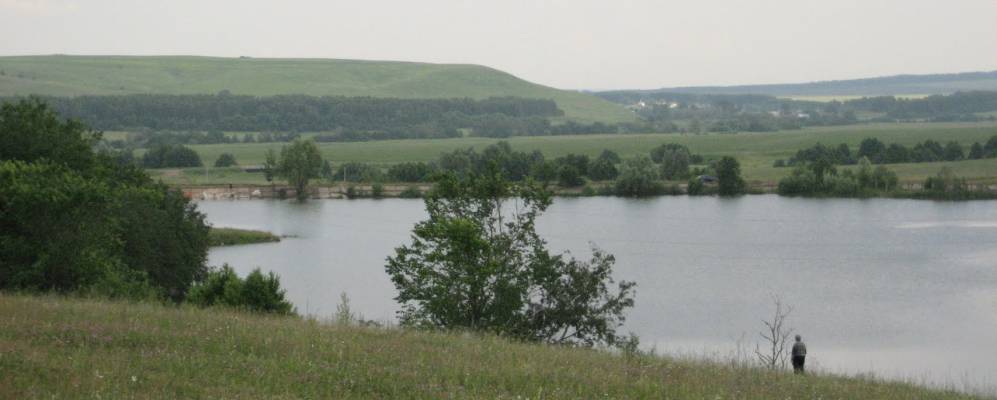 
            Фотография Мартыша