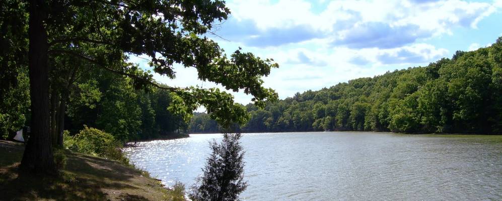 
            Фотография Кларивилла