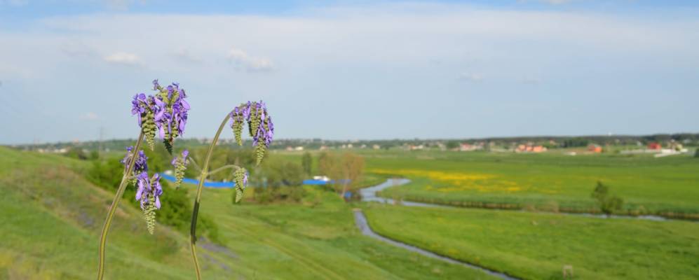 Фотография Луки