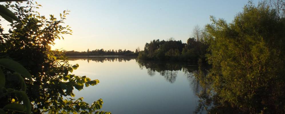 
            Фотография Рождественского