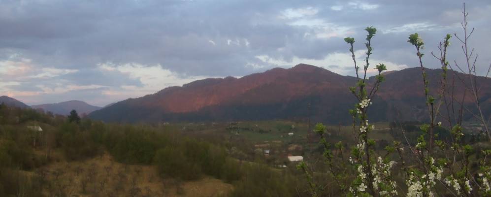 
            Фотография Валеа Боркутулуи