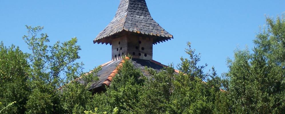 
            Фотография Сэ