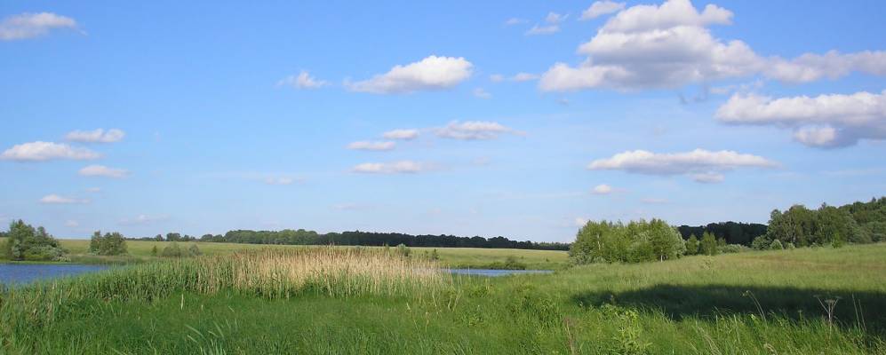 
            Фотография Захаровки