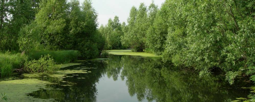 
            Фотография Старобокино