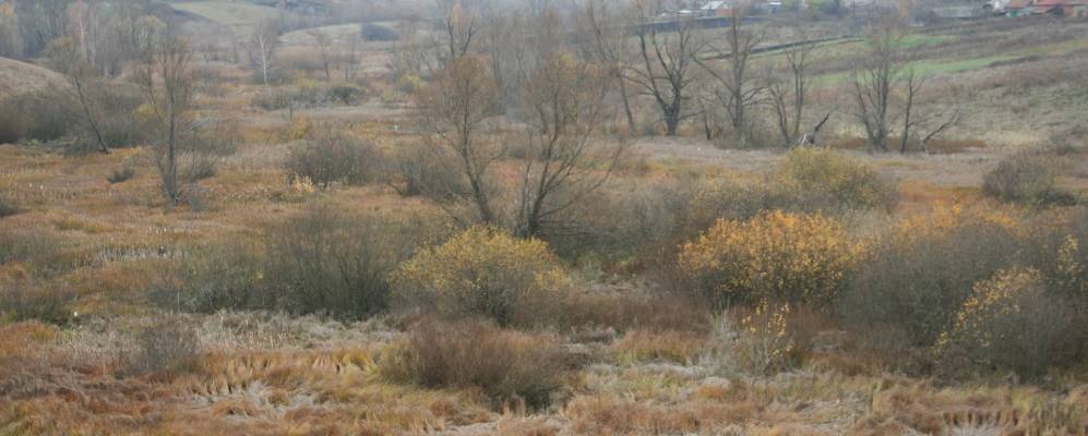 
            Фотография Александровки