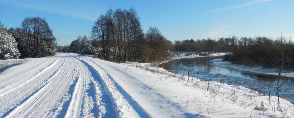 
            Фотография деревни Могилицы