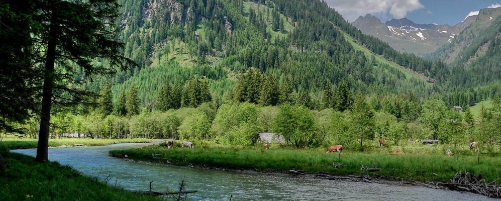 
            Фотография Вайсприаха 