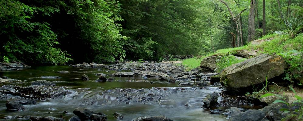 
            Фотография Вейвера