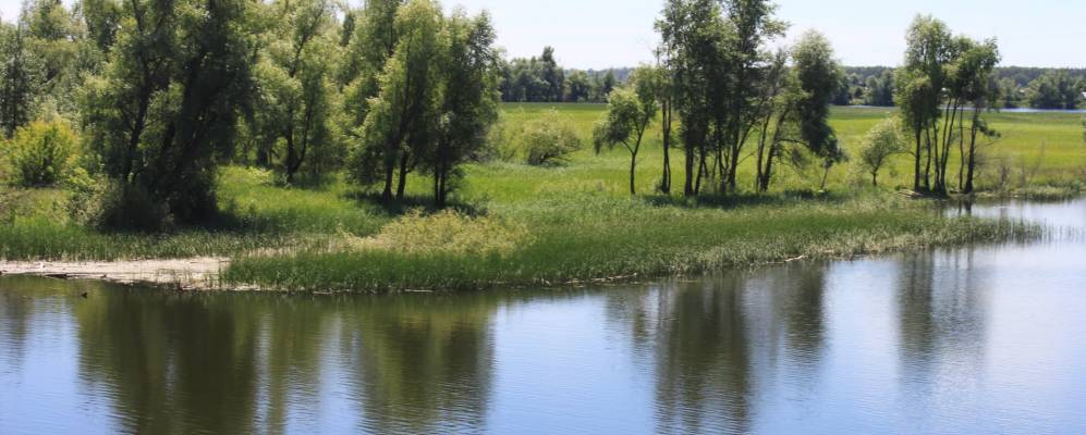 
            Фотография Труженика