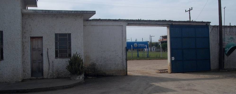 
            Фотография Тубарао