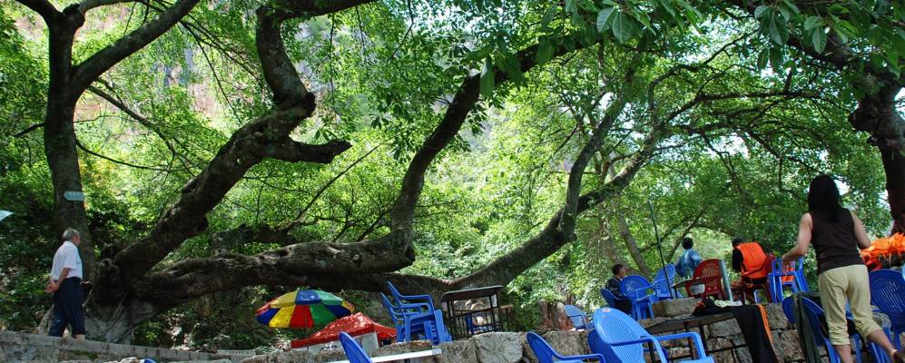 
            Фотография Fenglu