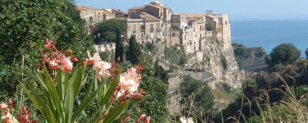 
            Фотография Драпии