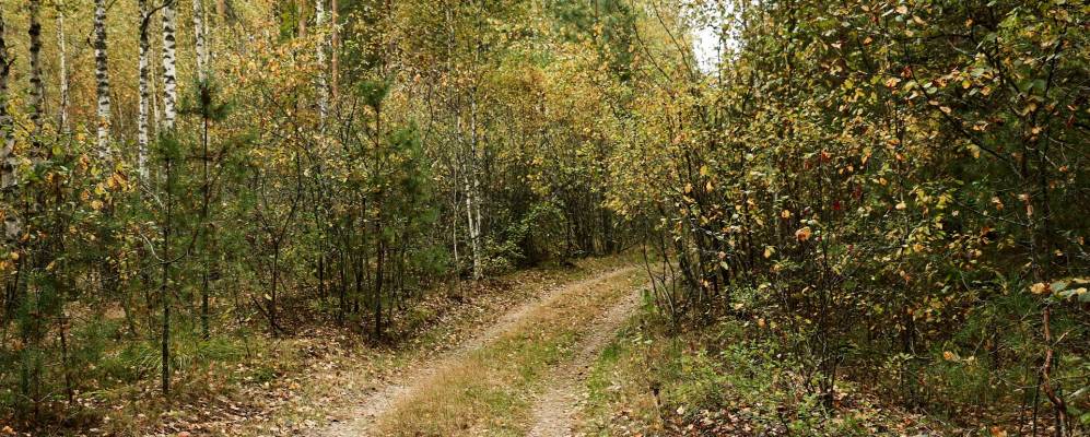 
            Фотография хутора Бобры