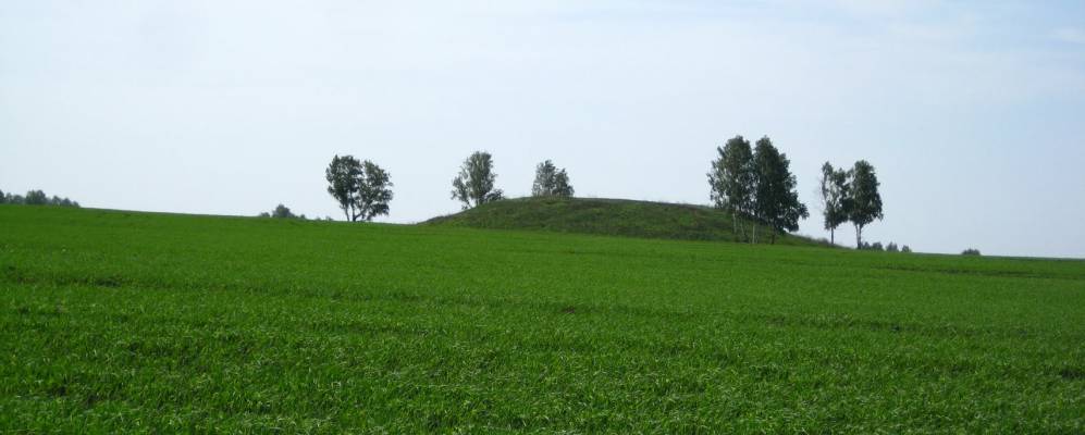 
            Фотография Гагарья