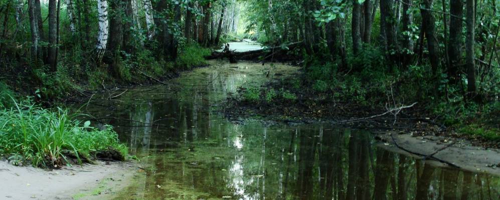 
            Фотография Юрятино