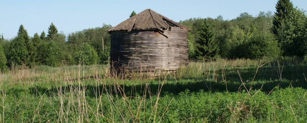 
            Фотография Кудрявцево