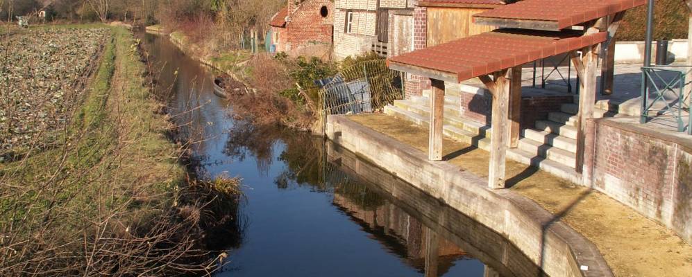 
            Фотография Камона