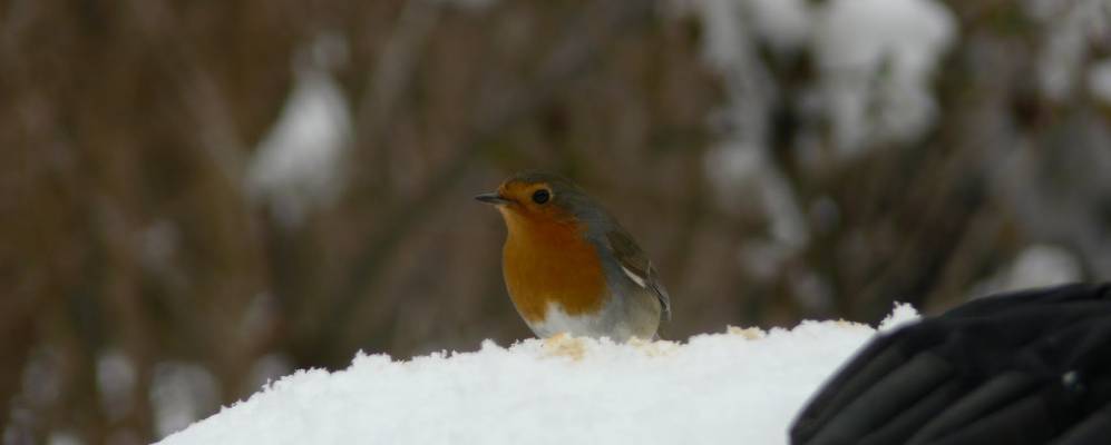 
            Фотография Сейсюэля