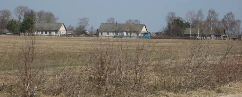 
            Фотография Дедово-Петровичей