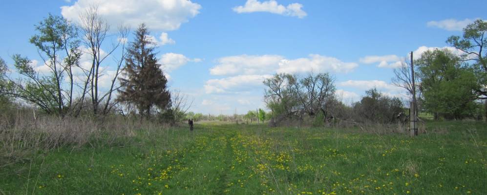 Фотография Заводского