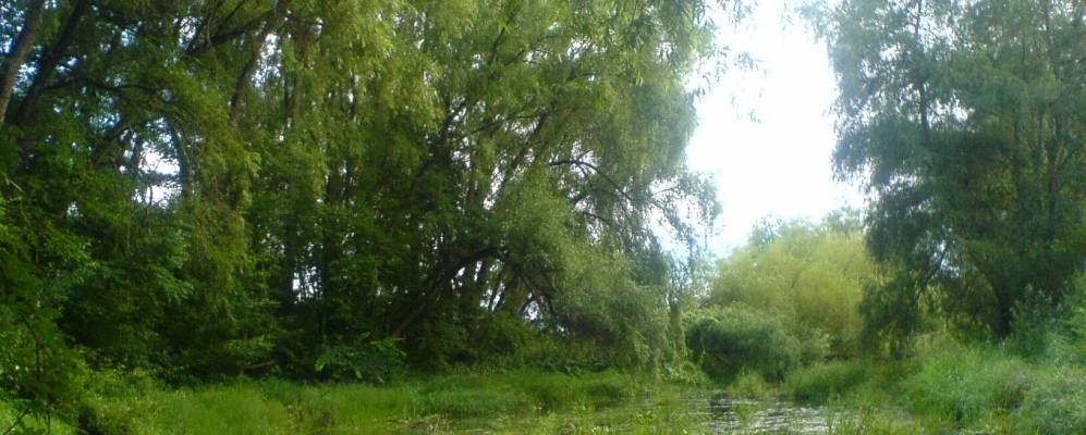 Фотография Морсино