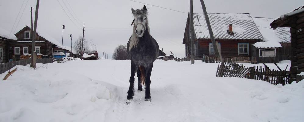 
            Фотография Путяшево