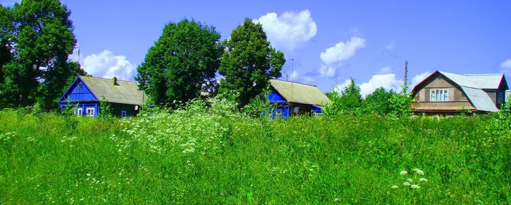 
            Фотография Петровского