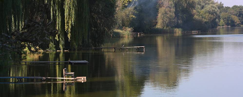 
            Фотография Сорокотяги