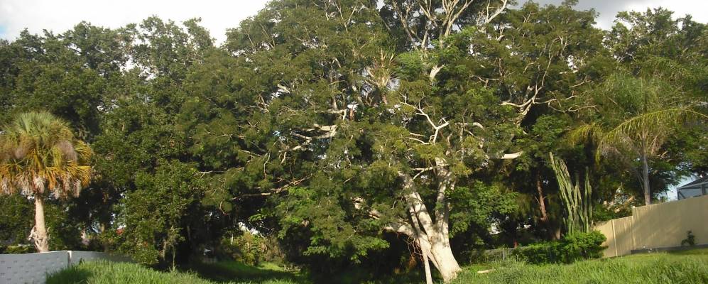 
            Фотография Саутгейта